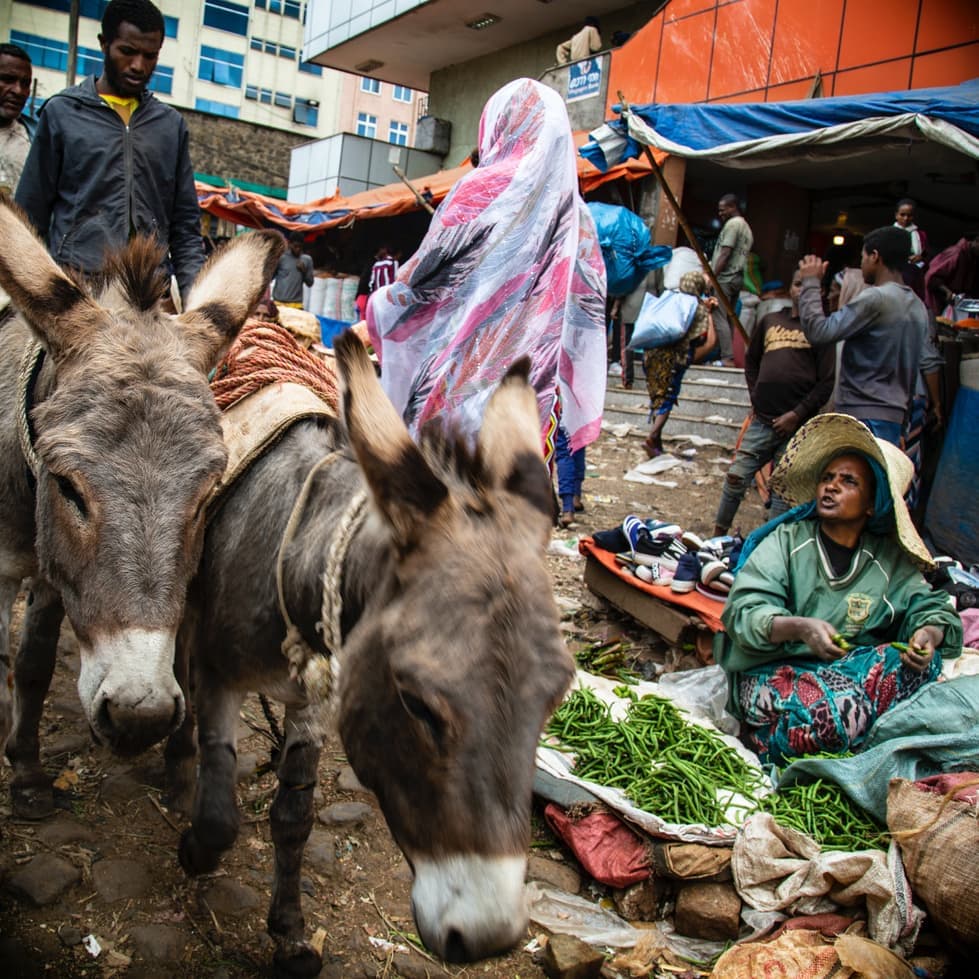 エチオピア 市場